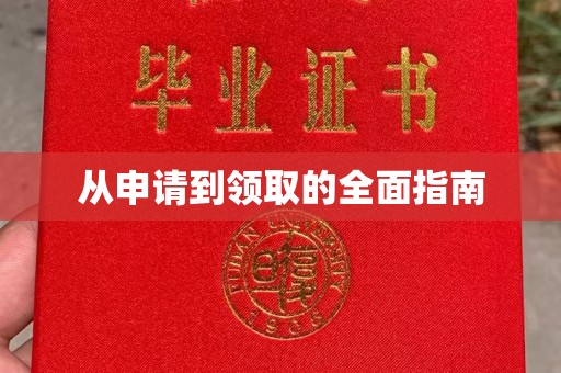 东川从申请到领取的全面指南